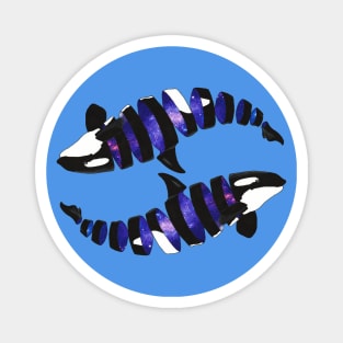 Galaxy Orcas Magnet